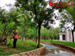 【建筑垃圾】建筑垃圾變身再生骨料，只差一臺(tái)移動(dòng)破碎機(jī)！